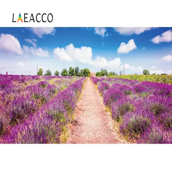 Laeacco Proljetne cvatnje лавандовые polja u Provansi, Francuska Pozadina za snimanje slika Pozadina za fotografiju pucati studio fotografija Slika